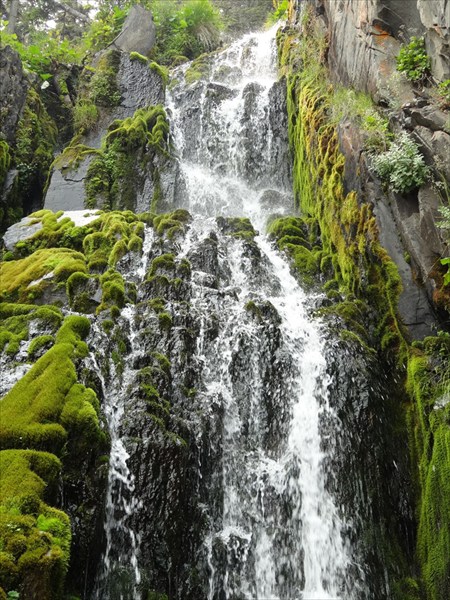 Охотское Море 210